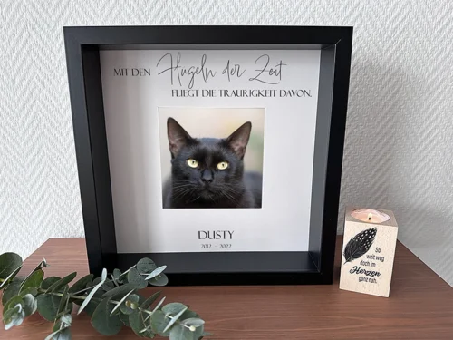 Trauer Bilderrahmen Katze, Farbe schwarz, stehend auf einem Holzboard vor einer weißen Wand