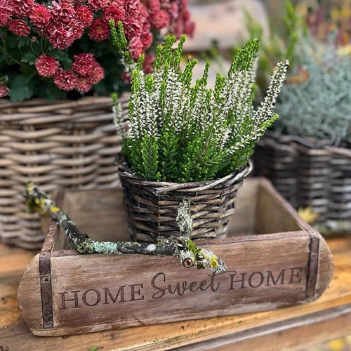 Alte Ziegelform als Aufbewahrungskiste, personalisiert mit dem Schriftzug Home Sweet Home, stehend auf einem alten Holztisch. In der Ziegelform ist eine Pflanze dekoriert.